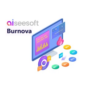 Aiseesoft Burnova 1 Jahr / 1 Key GLOBAL